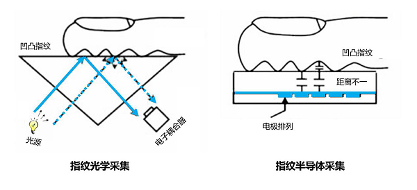 半导体指纹和光学指纹