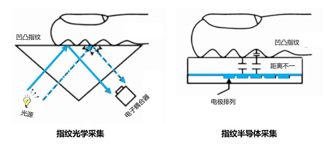 半导体指纹和光学指纹